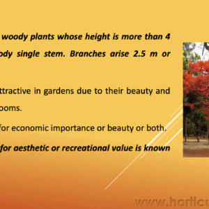 Landscape Use of Tree, Shrubs, Climbers and Annuals PPT